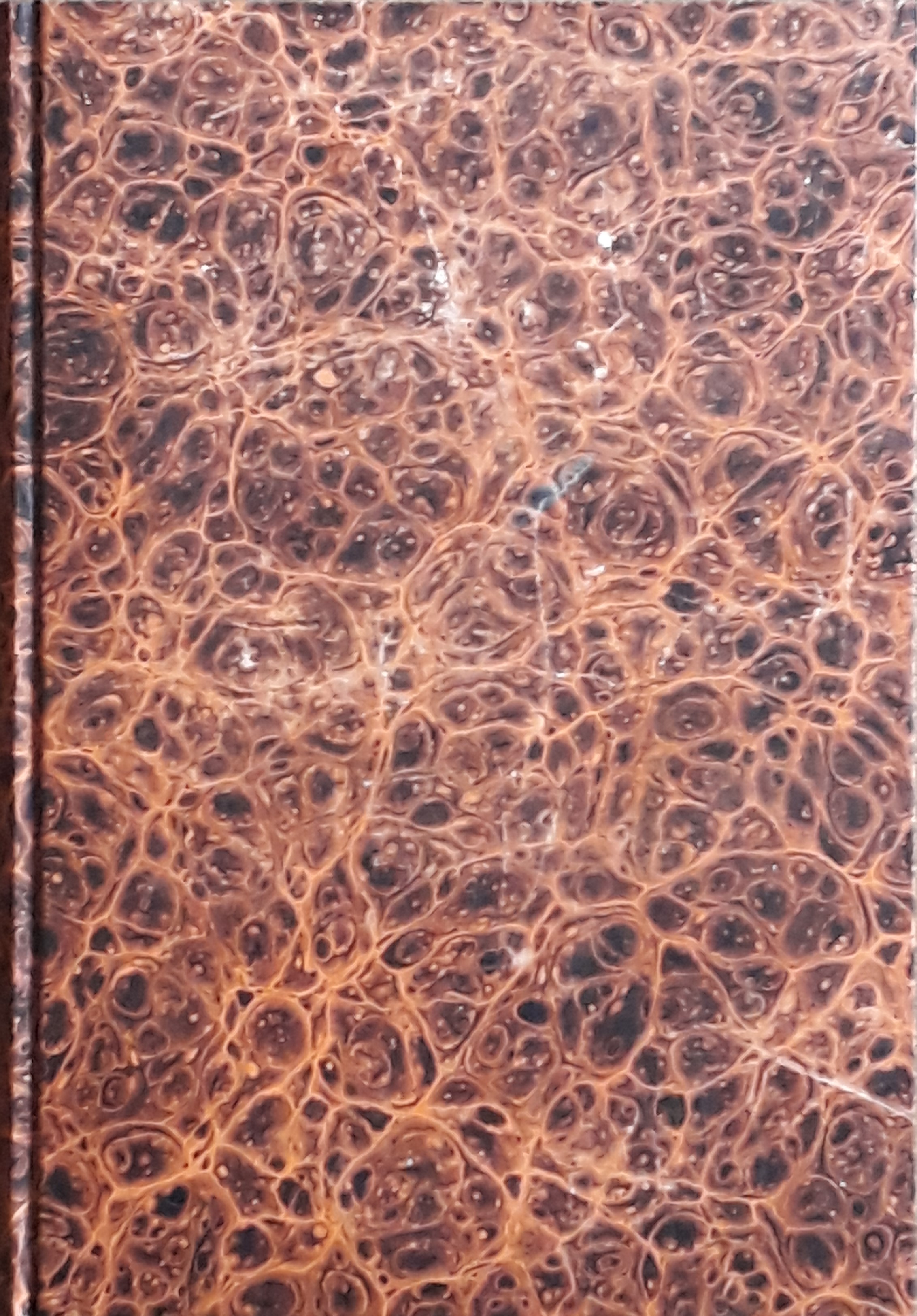 Photo of front page