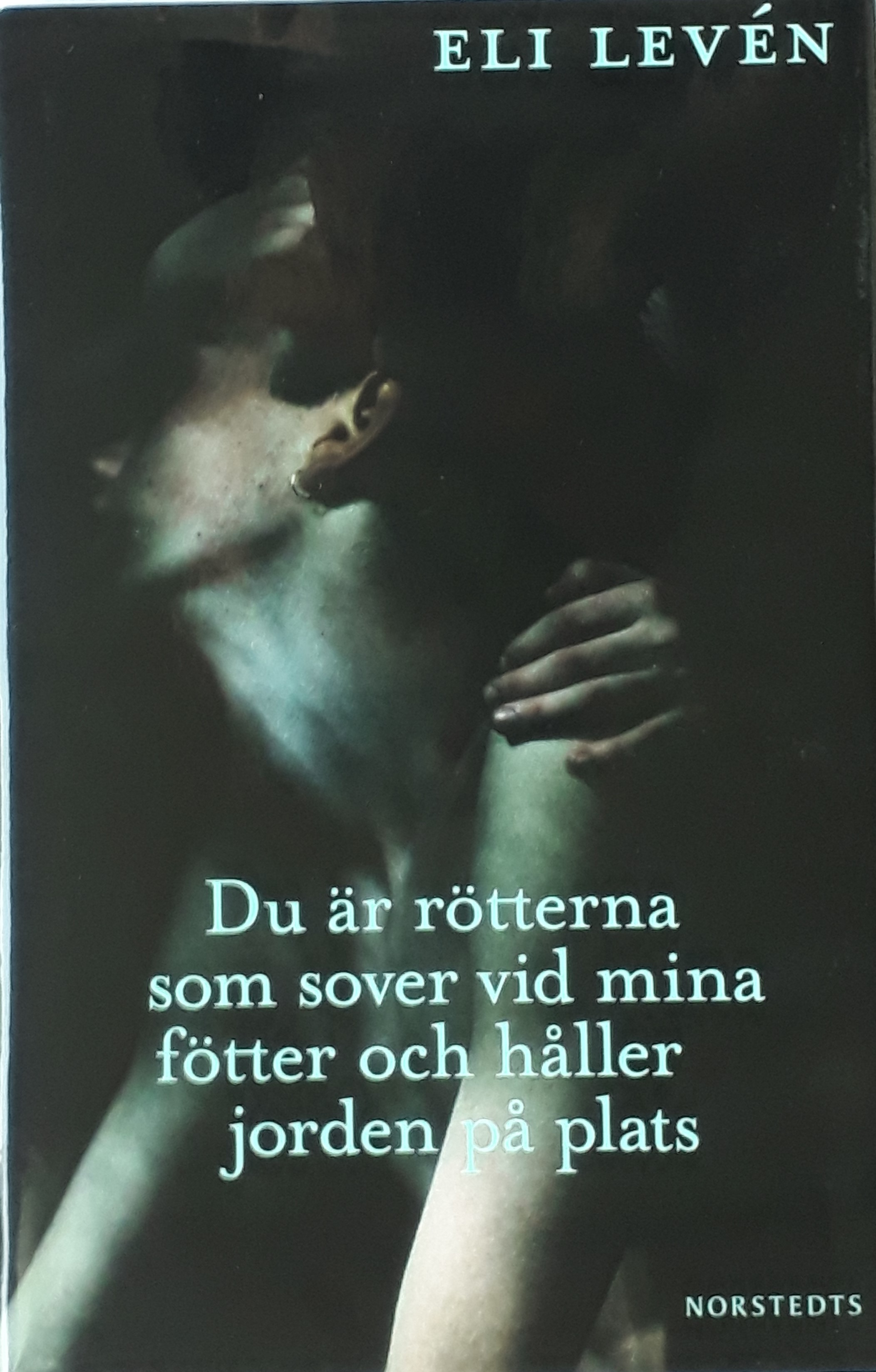 Foto av framsida